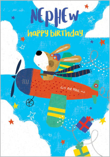 Picture of NEPHEW BIRTHDAY CARD